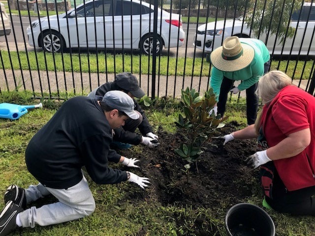 Planting with clients from St John of God Accord
