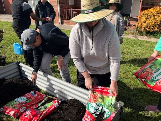 Clients fill the raised beds at St John of God Accord Glenroy Community Campus